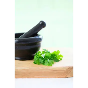 Organic  Dried Coriander Leaves